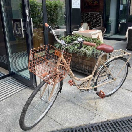 Bike rental